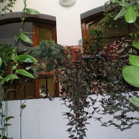 Hostal Maurin Vilaller Esterno foto